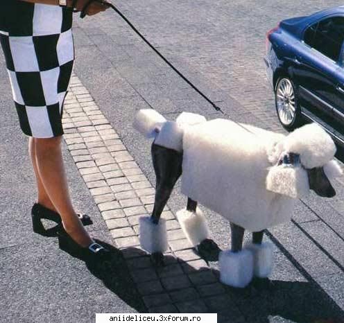 Imagini Funny - tearschocolate - Distractzie