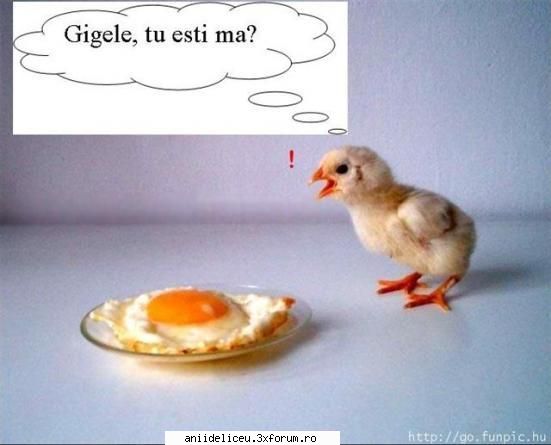 Imagini Funny - tearschocolate - Distractzie