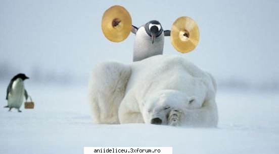 Imagini Funny - tearschocolate - Distractzie