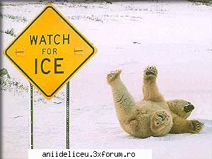 Imagini Funny - tearschocolate - Distractzie