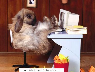 Imagini Funny - tearschocolate - Distractzie